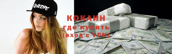 крисы Алзамай